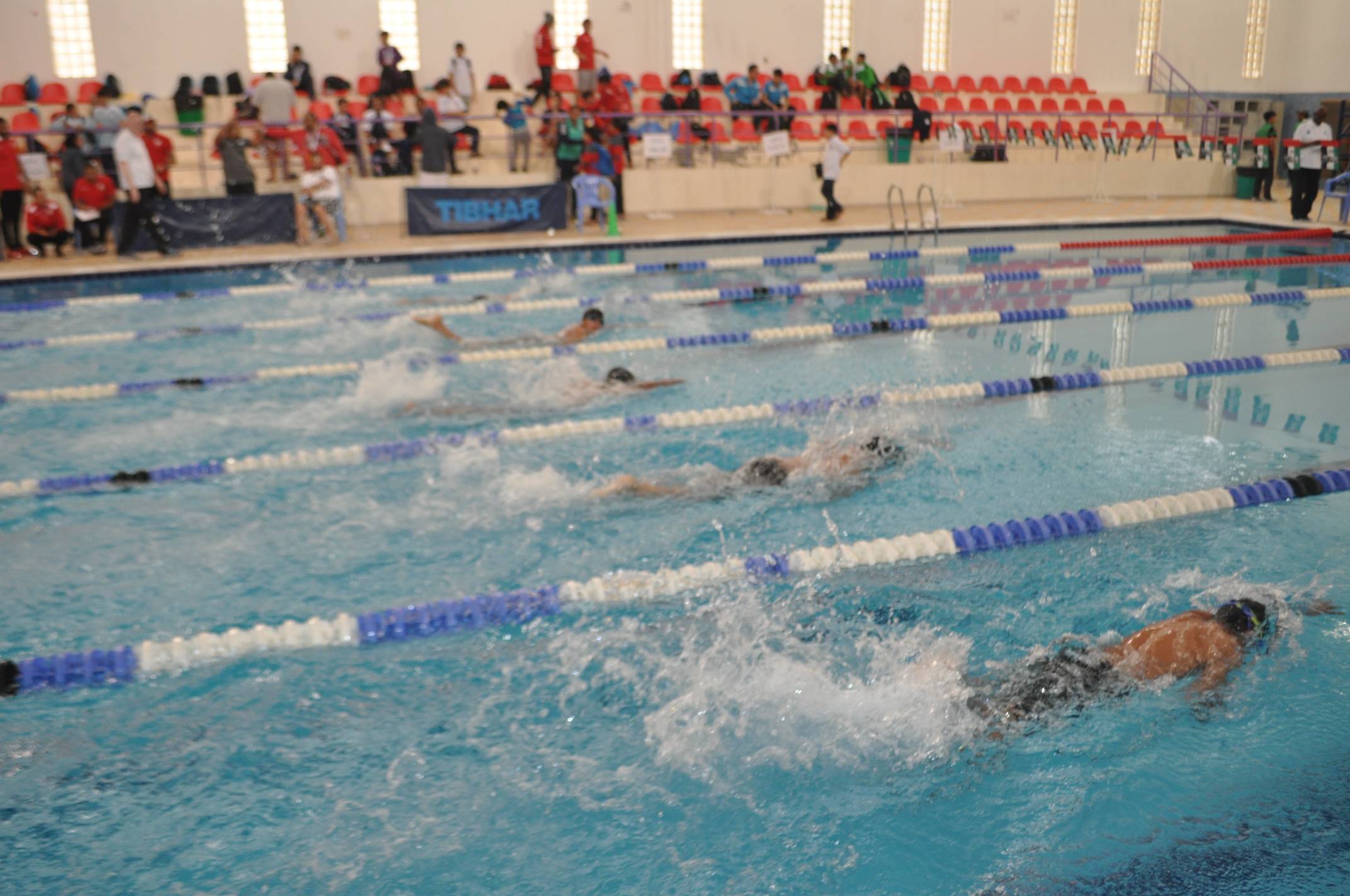 Development Championship for Category (B) Swimming