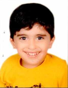 MAYED ALSHAMSI