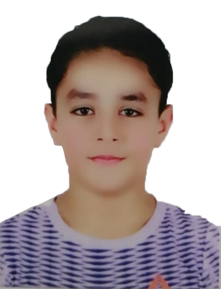 Mohamed   El-Sayed